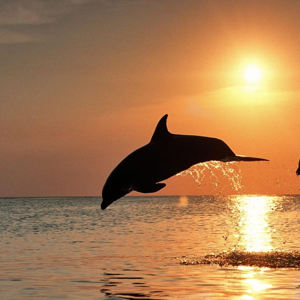 Enamorada de la vida...Feliz