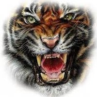 B-E Athletics (@behsathleticdir) 's Twitter Profile