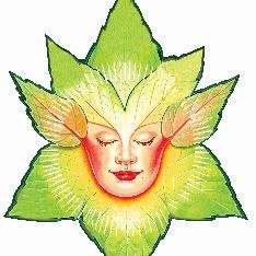 The Leaf People teaches tolerance, diversity and respect for our planet. Trees, plants and flowers all grow together; so do we. Order with the link in our bio⏬
