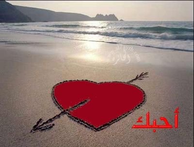'‏‏bo abdullah'