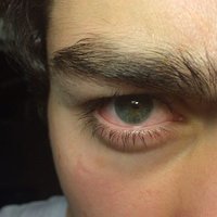  Néo (@eco_evol) 's Twitter Profile