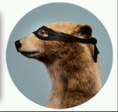 CHHSBookofTruth's profile picture. 