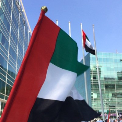 w9lalwasl's profile picture. 