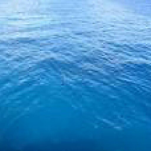 HoennWaterFTW's profile picture. Hoenn has too much water. IGN, November 18 2014.