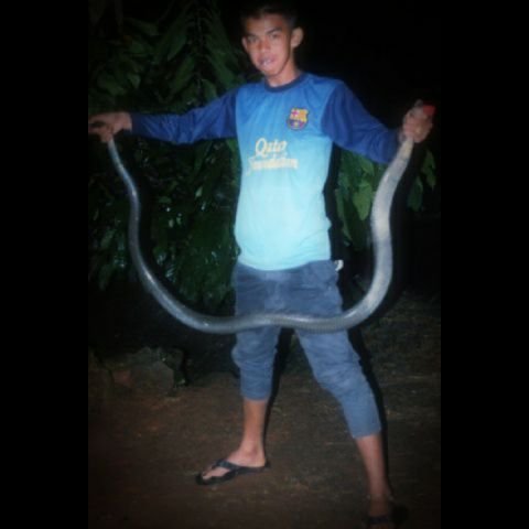 suka musik,hobi blapan/bermai mencari reptil,suka sambalado,pencinta semen PADANG