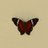 lumarlaw's profile image