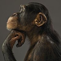 Ensimismado (@systemtwo) 's Twitter Profile