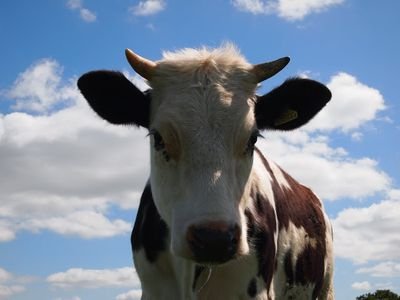 Philipmartin74's profile picture. 