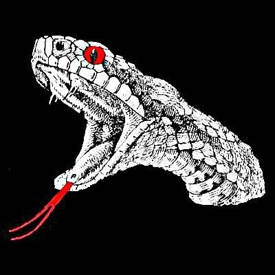 Vyperrecords's profile picture. 