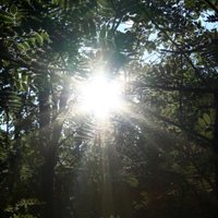 Kväkarna (@swedishquakers) 's Twitter Profile