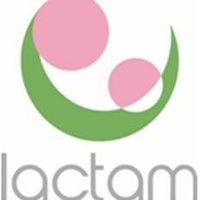 Lactam (@infolactam) 's Twitter Profile