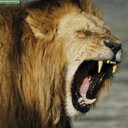 Julio Lobo - @juliolobo8993 - Twitter