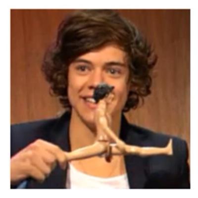 I fell in love with a curly girl named Harry Styles✌️