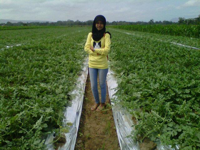 mrs. simple !