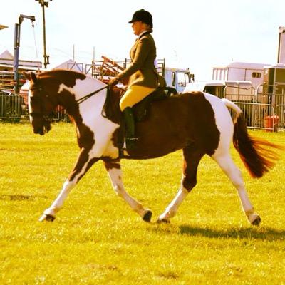 cuddlycob's profile picture. 