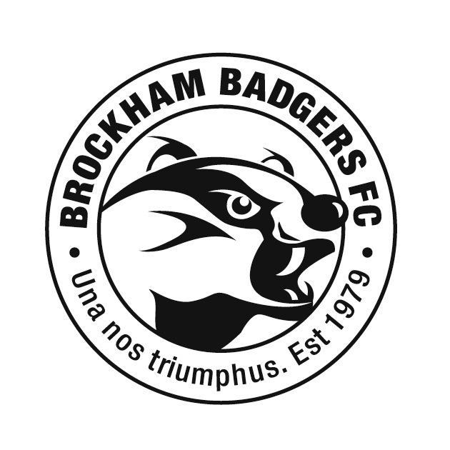 Community football from U7s to adults, combining Brockham Badgers FC & Brockham FC. Official news and views from the club. #Brockham2016 date TBA