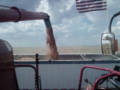 dzimme50's profile picture. Proud Father and Husband!