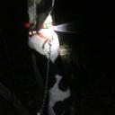 Joey Bean - @7d03f5e3eb07416 - Twitter