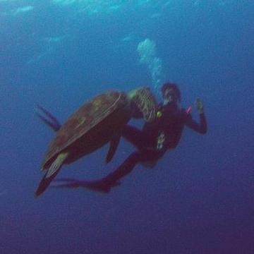 gatesanna's profile picture. 