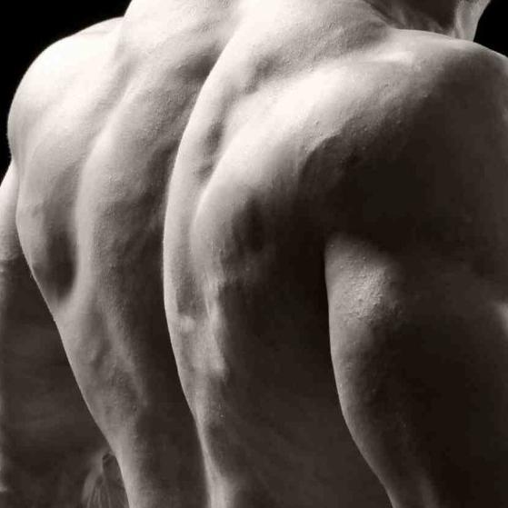 Venez découvrir pourquoi et comment se muscler le dos en toute simplicité! Avec ou sans matériel, vous découvrirez toutes les techniques pour se muscler le dos!
