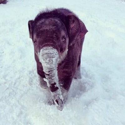 StandardCandler's profile picture. 