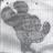 ChristianBajusz's profile image