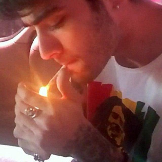 Zayn's high notes. Ziall Horlik is life. Matt Espinosa, Jack&Jack+Janoskians. Also a fan of Bob Marley, Bob Dylan, The Beatles, The Stones and Fleetwood mac.