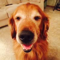 Mr. Mitchell (@john_mitch77) 's Twitter Profile