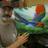 EdBeardJr's profile image