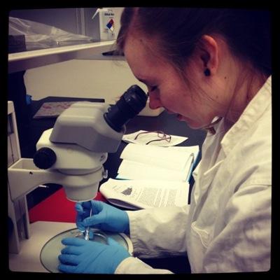 MsHayesScience's profile picture. Welcome to Miss Hayes' class twitter account! Follow for updates on class news and scientific discoveries!