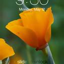 Alyssa Polk - @Alyssa_2133 - Twitter