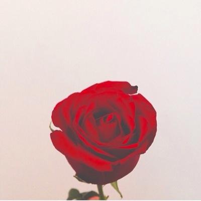 اللهم أرفعني بـ أخلاقي ولا تجعل في قلوب الناس شيء علي ولا في قلبي شيء عليهم واجعل سيرتي حسنه وأحسن ذكري بينهم في حياتي وبعد مماتي ♡♡