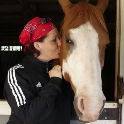 B17Bella's profile picture. I am an English-born Canadian. I play a lot of ball, badminton & tennis. I ❤️horses, WWII Bomber and Fighter Command aircraft and I'm a HUGE Detroit Tigers fan.