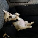 Adrian Farmer - @GeneralFarmer69 - Twitter