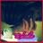 fany1616's profile image