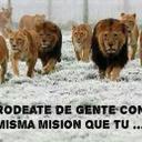 juan carlos de leon  - @juan_lyon - Twitter