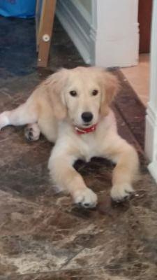 billskutch's profile picture. 