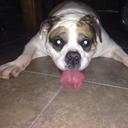 Blake Warren - @BWarren05 - Twitter