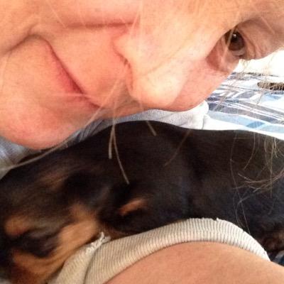 joannja's profile picture. 