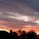 Lisa Aviles - @lmaviles2005 - Twitter