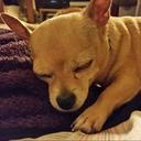 Carter Bennett - @cbb0311 - Twitter