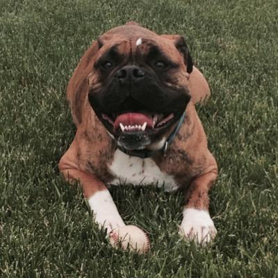 apodBubbaT's profile picture. 