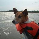 Robyn Hackett - @f7fdbc2d09e54ec - Twitter