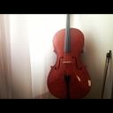 lorraine mayo - @densitygroun57 - Twitter