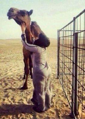 ‏‏‏‏عمه كبيره وخبره اعشق اسحاقيات