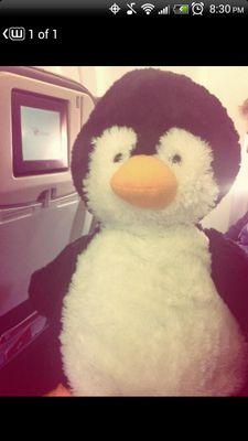 sampson32909's profile picture. *Big or small, lies are still lies.*