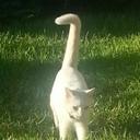 Pat Mays - @pat78217 - Twitter