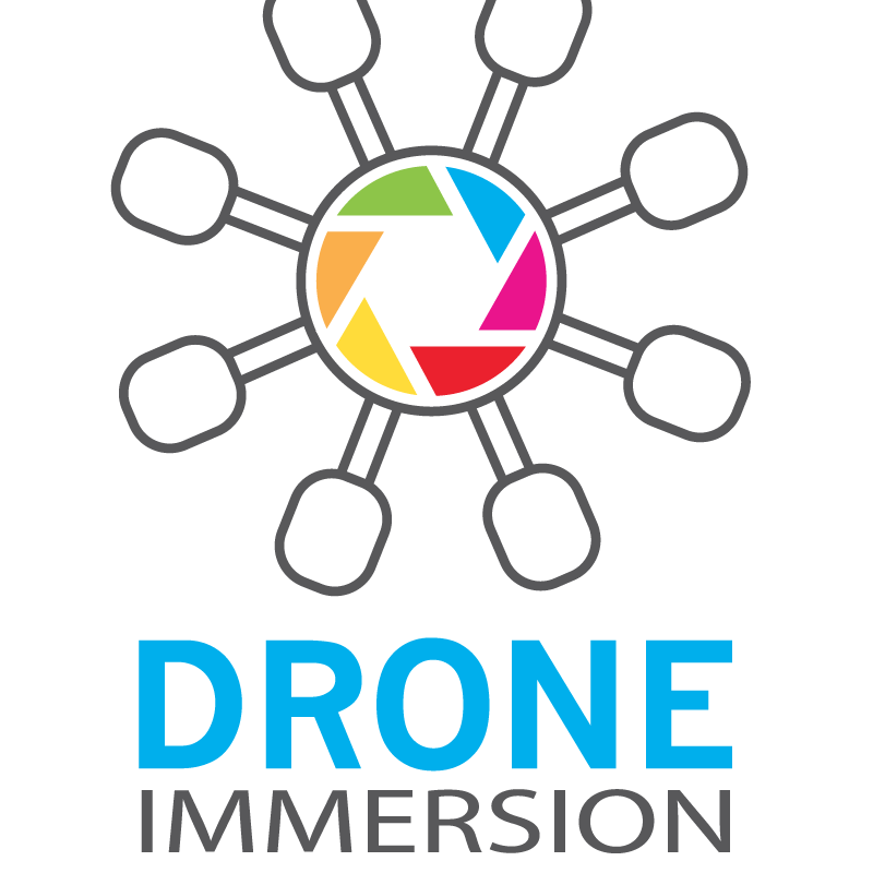 Drone Immersion Profile