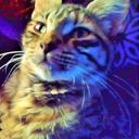 Beth Padgett - @HECKERBET4 - Twitter