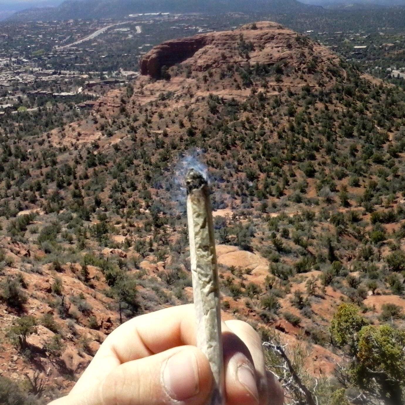 JointWithAView's profile picture. Shedding some light on all the smokespots of the world. Tag or DM @JointWithAView and follow to get your picture posted!